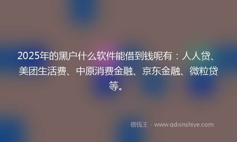 2025年的黑户什么软件能借到钱呢有：人人贷、美团生活费、中原消费金融、京东金融、微粒贷等。