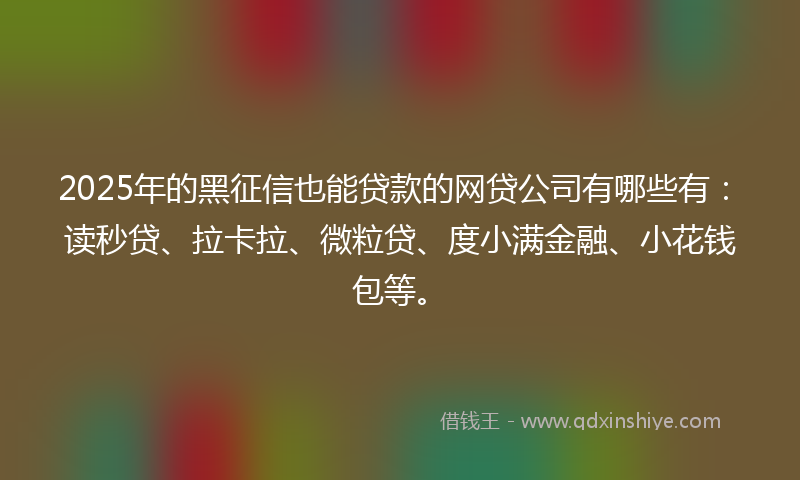 2025年的黑征信也能贷款的网贷公司有哪些有：读秒贷、拉卡拉、微粒贷、度小满金融、小花钱包等。