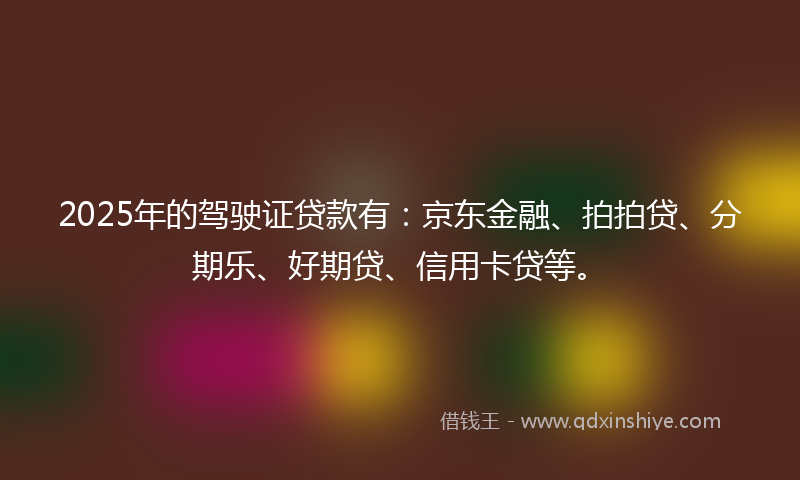 2025年的驾驶证贷款有：京东金融、拍拍贷、分期乐、好期贷、信用卡贷等。