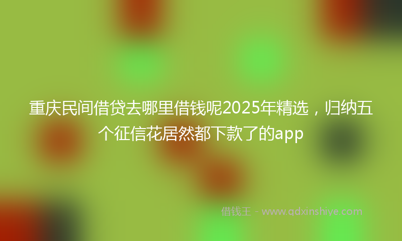 重庆民间借贷去哪里借钱呢2025年精选，归纳五个征信花居然都下款了的app