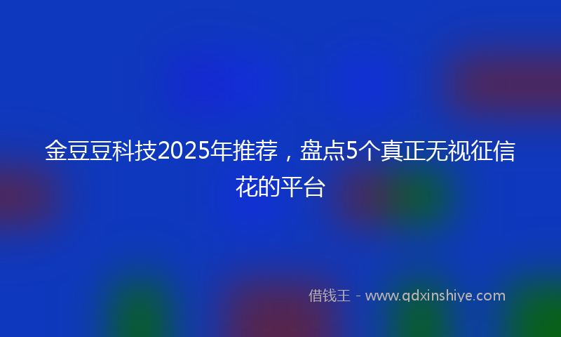 金豆豆科技2025年推荐，盘点5个真正无视征信花的平台