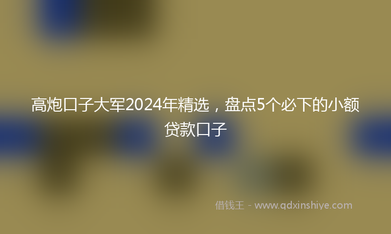 高炮口子大军2024年精选，盘点5个必下的小额贷款口子