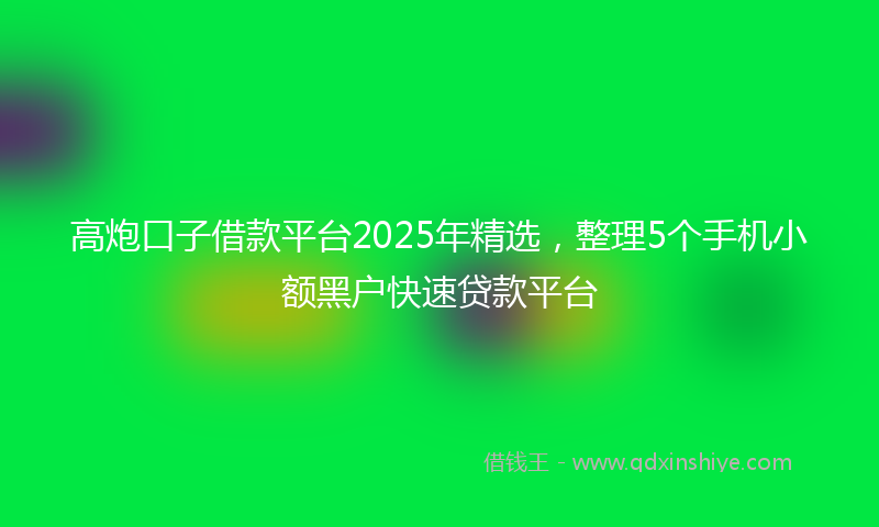 高炮口子借款平台2025年精选，整理5个手机小额黑户快速贷款平台