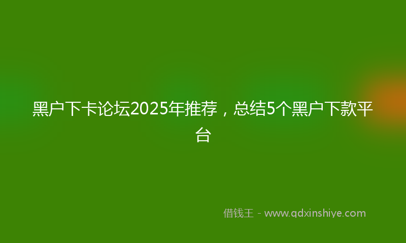 黑户下卡论坛2025年推荐，总结5个黑户下款平台