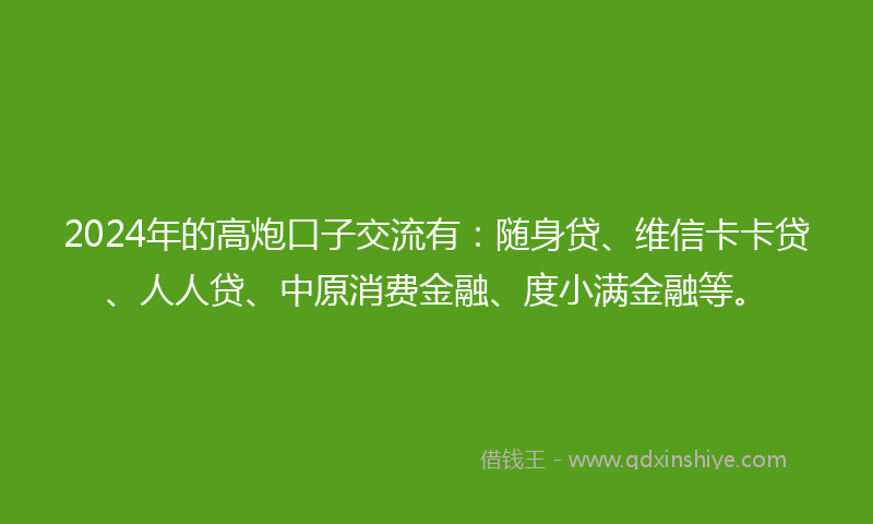 2024年的高炮口子交流有：随身贷、维信卡卡贷、人人贷、中原消费金融、度小满金融等。