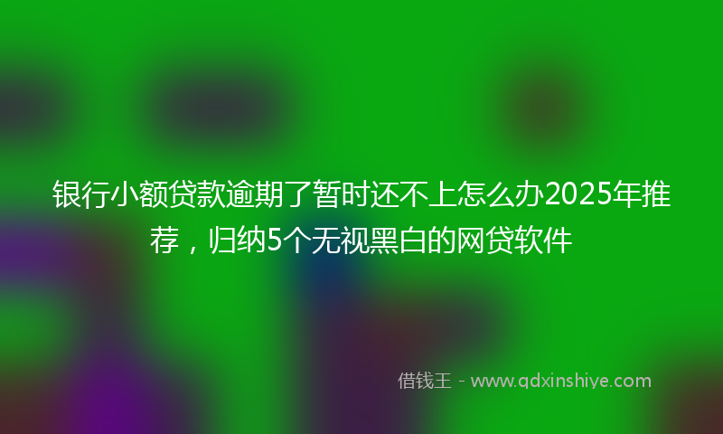 银行小额贷款逾期了暂时还不上怎么办2025年推荐，归纳5个无视黑白的网贷软件