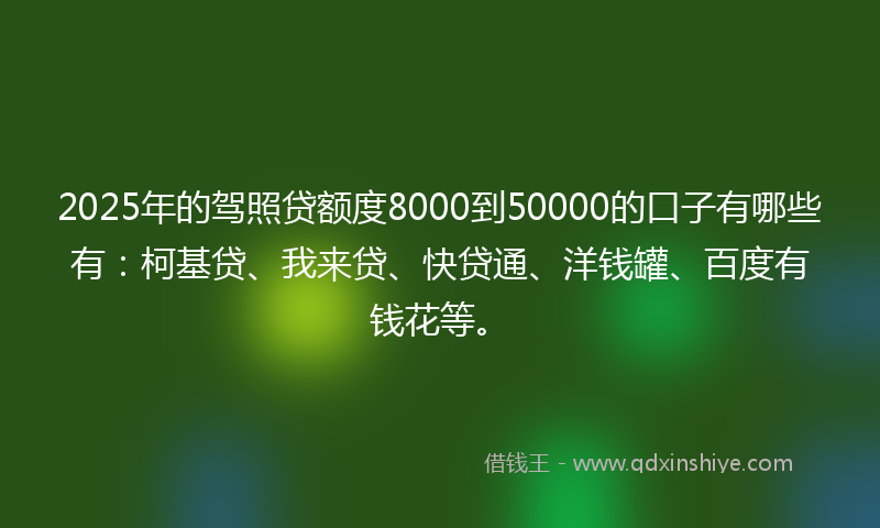 2025年的驾照贷额度8000到50000的口子有哪些有：柯基贷、我来贷、快贷通、洋钱罐、百度有钱花等。