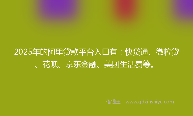 2025年的阿里贷款平台入口有：快贷通、微粒贷、花呗、京东金融、美团生活费等。