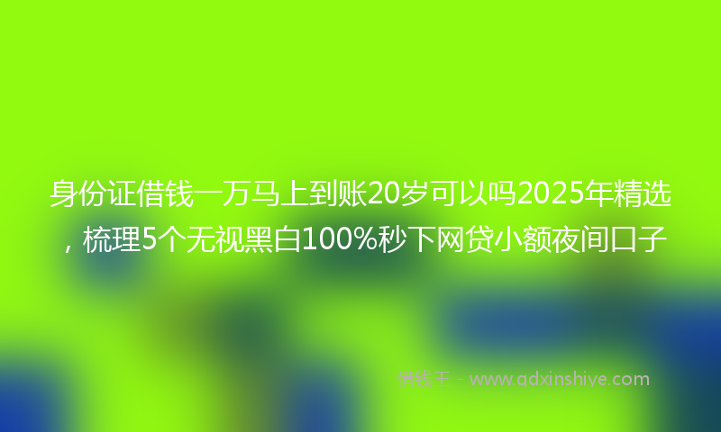 身份证借钱一万马上到账20岁可以吗2025年精选，梳理5个无视黑白100%秒下网贷小额夜间口子