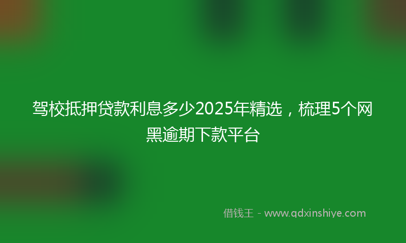 驾校抵押贷款利息多少2025年精选，梳理5个网黑逾期下款平台