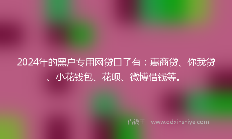 2024年的黑户专用网贷口子有：惠商贷、你我贷、小花钱包、花呗、微博借钱等。