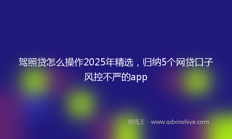 驾照贷怎么操作2025年精选，归纳5个网贷口子风控不严的app