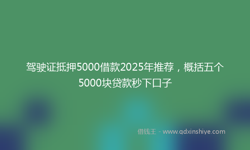 驾驶证抵押5000借款2025年推荐，概括五个5000块贷款秒下口子