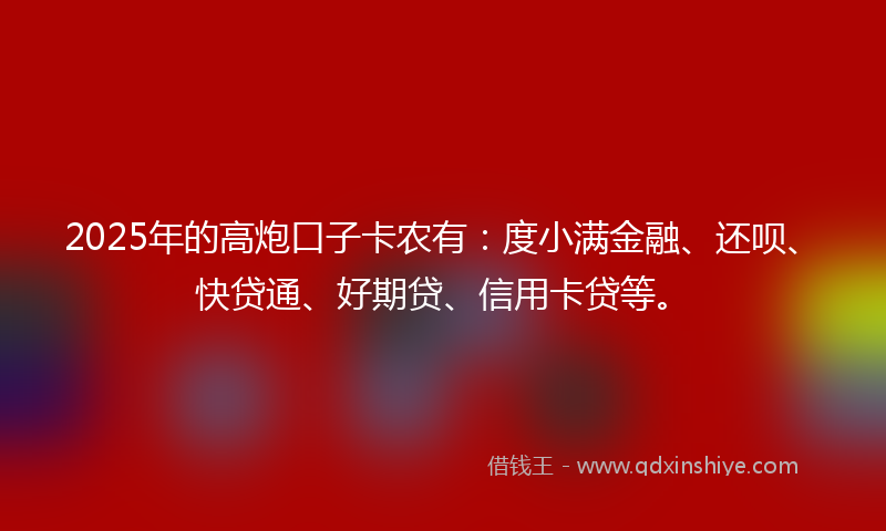 2025年的高炮口子卡农有：度小满金融、还呗、快贷通、好期贷、信用卡贷等。