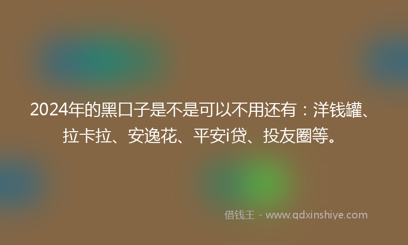 2024年的黑口子是不是可以不用还有：洋钱罐、拉卡拉、安逸花、平安i贷、投友圈等。