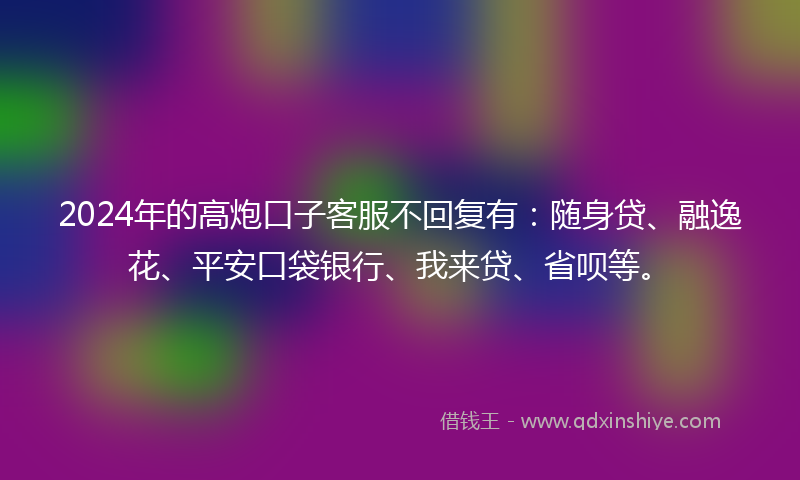 2024年的高炮口子客服不回复有：随身贷、融逸花、平安口袋银行、我来贷、省呗等。