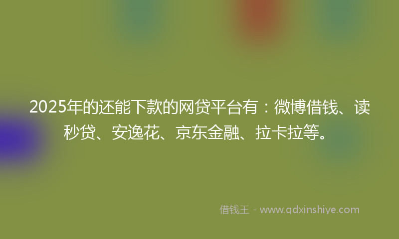 2025年的还能下款的网贷平台有：微博借钱、读秒贷、安逸花、京东金融、拉卡拉等。