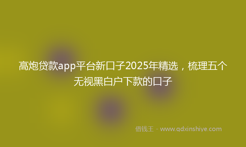 高炮贷款app平台新口子2025年精选，梳理五个无视黑白户下款的口子