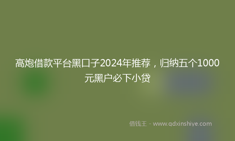 高炮借款平台黑口子2024年推荐，归纳五个1000元黑户必下小贷