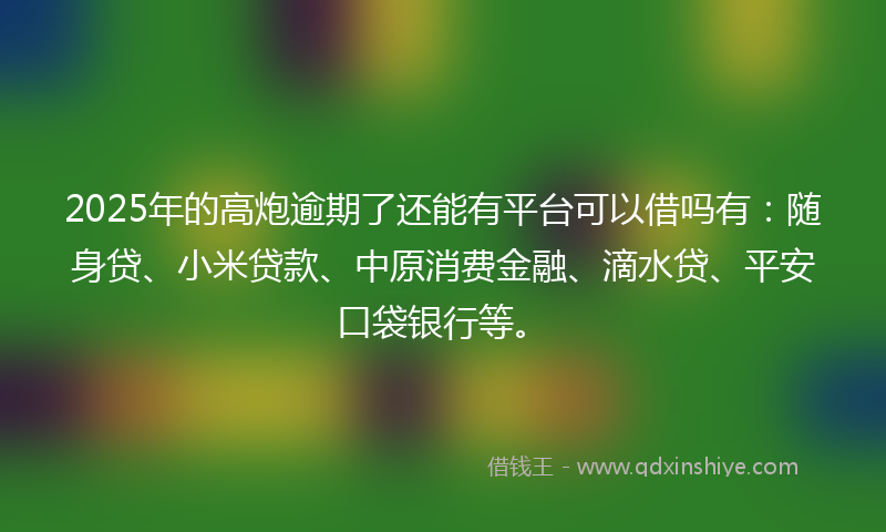 2025年的高炮逾期了还能有平台可以借吗有：随身贷、小米贷款、中原消费金融、滴水贷、平安口袋银行等。