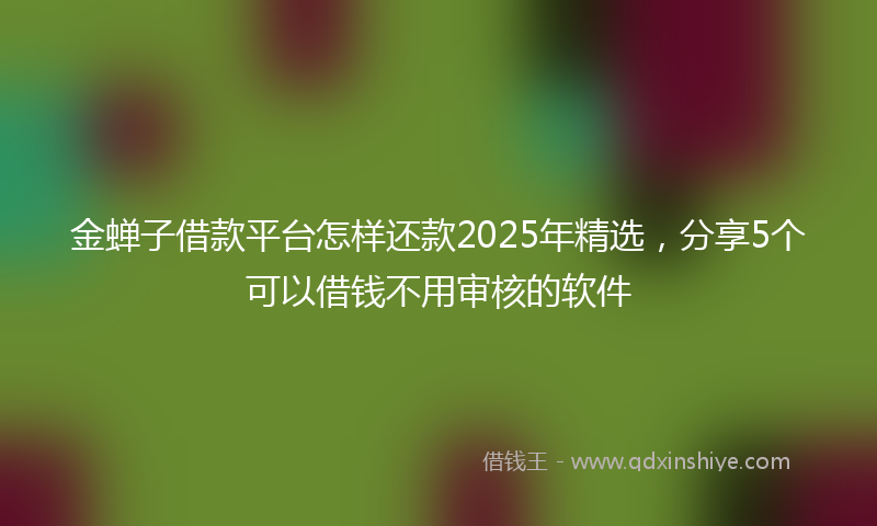 金蝉子借款平台怎样还款2025年精选，分享5个可以借钱不用审核的软件