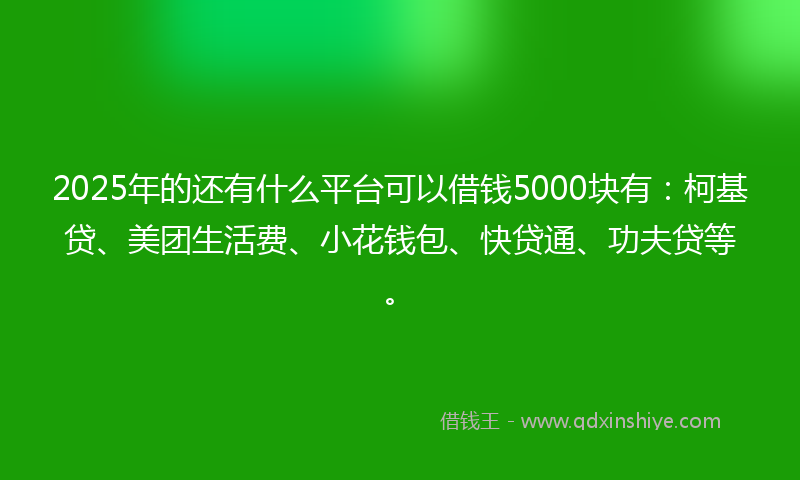 2025年的还有什么平台可以借钱5000块有：柯基贷、美团生活费、小花钱包、快贷通、功夫贷等。