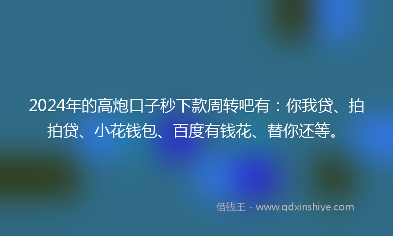 2024年的高炮口子秒下款周转吧有：你我贷、拍拍贷、小花钱包、百度有钱花、替你还等。