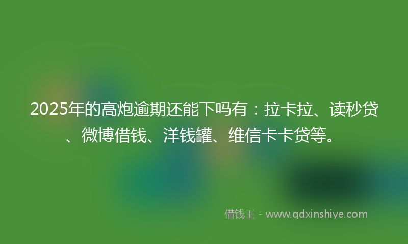 2025年的高炮逾期还能下吗有：拉卡拉、读秒贷、微博借钱、洋钱罐、维信卡卡贷等。