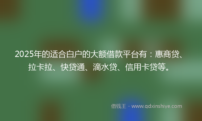 2025年的适合白户的大额借款平台有：惠商贷、拉卡拉、快贷通、滴水贷、信用卡贷等。