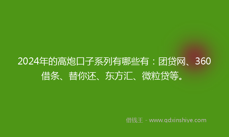 2024年的高炮口子系列有哪些有：团贷网、360借条、替你还、东方汇、微粒贷等。