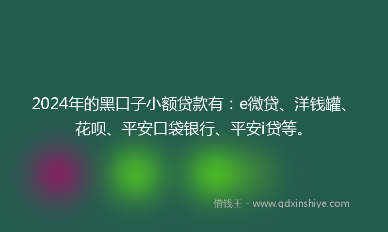 2024年的黑口子小额贷款有：e微贷、洋钱罐、花呗、平安口袋银行、平安i贷等。