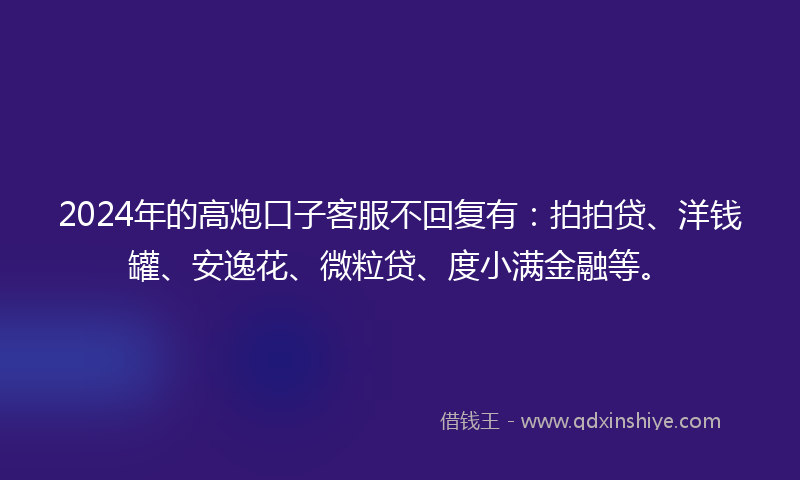 2024年的高炮口子客服不回复有：拍拍贷、洋钱罐、安逸花、微粒贷、度小满金融等。
