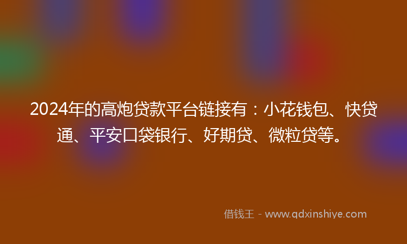 2024年的高炮贷款平台链接有：小花钱包、快贷通、平安口袋银行、好期贷、微粒贷等。