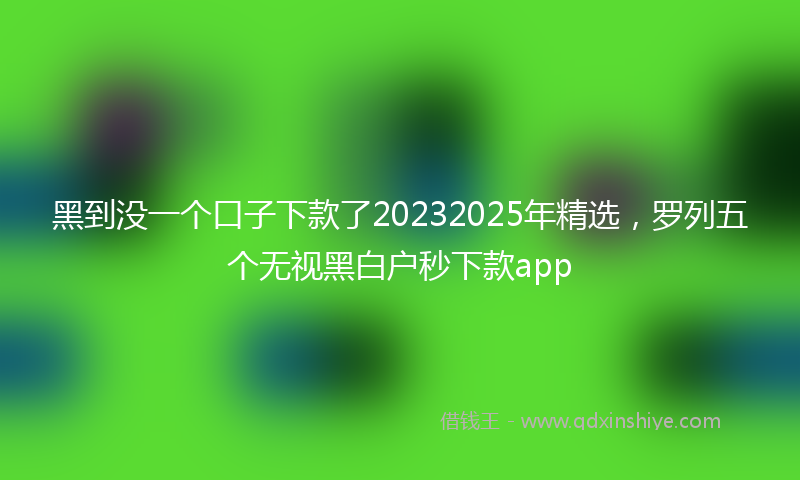 黑到没一个口子下款了20232025年精选，罗列五个无视黑白户秒下款app