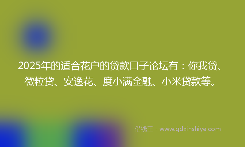 2025年的适合花户的贷款口子论坛有：你我贷、微粒贷、安逸花、度小满金融、小米贷款等。