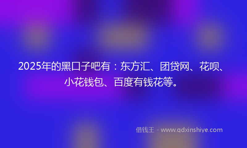 2025年的黑口子吧有：东方汇、团贷网、花呗、小花钱包、百度有钱花等。
