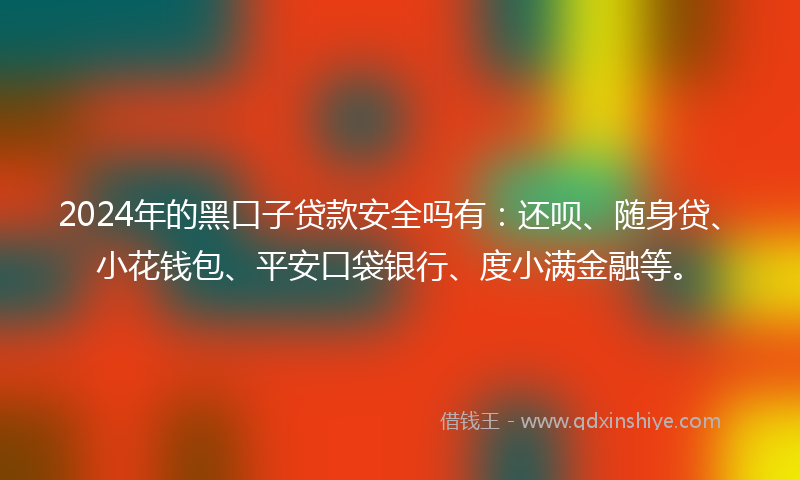 2024年的黑口子贷款安全吗有：还呗、随身贷、小花钱包、平安口袋银行、度小满金融等。