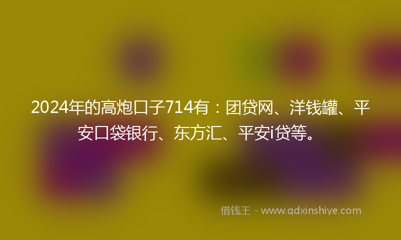 2024年的高炮口子714有：团贷网、洋钱罐、平安口袋银行、东方汇、平安i贷等。