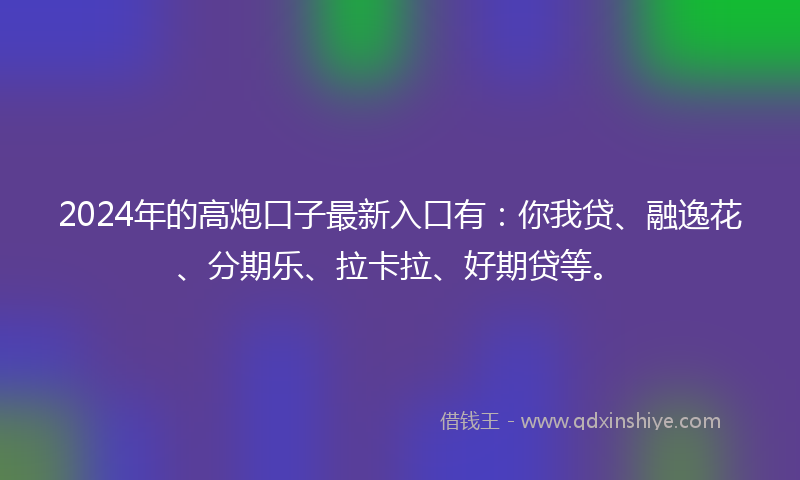 2024年的高炮口子最新入口有：你我贷、融逸花、分期乐、拉卡拉、好期贷等。