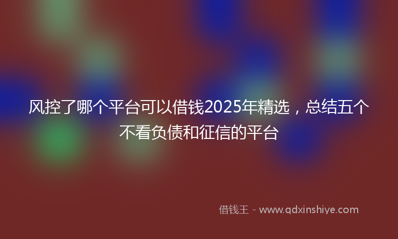 风控了哪个平台可以借钱2025年精选，总结五个不看负债和征信的平台