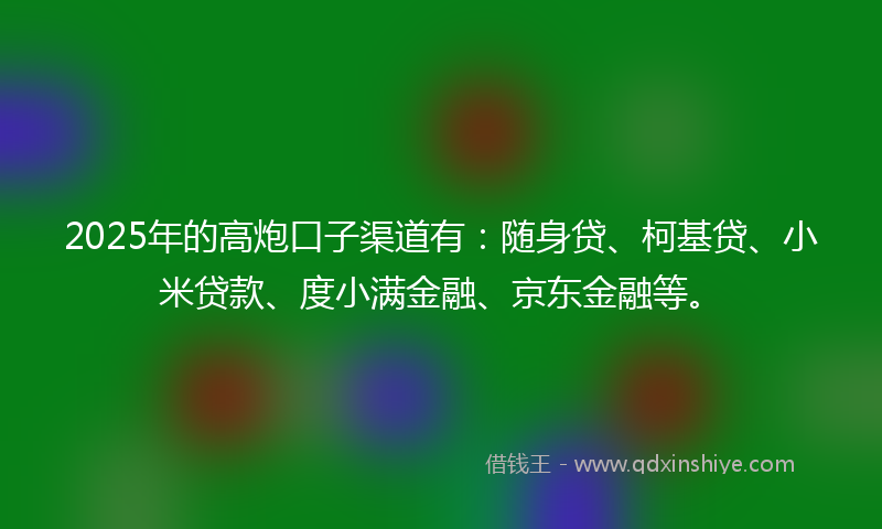 2025年的高炮口子渠道有：随身贷、柯基贷、小米贷款、度小满金融、京东金融等。