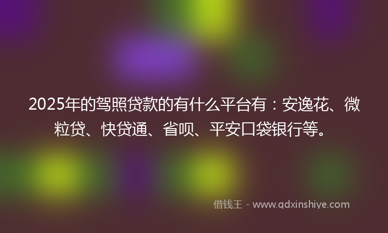 2025年的驾照贷款的有什么平台有：安逸花、微粒贷、快贷通、省呗、平安口袋银行等。