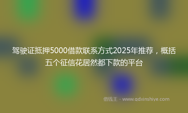 驾驶证抵押5000借款联系方式2025年推荐，概括五个征信花居然都下款的平台