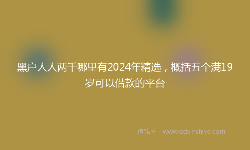 黑户人人两千哪里有2024年精选，概括五个满19岁可以借款的平台