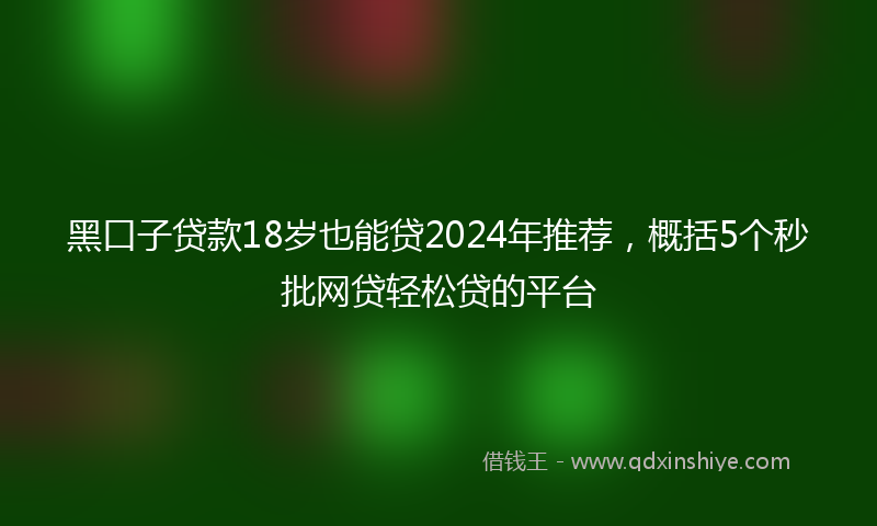 黑口子贷款18岁也能贷2024年推荐，概括5个秒批网贷轻松贷的平台