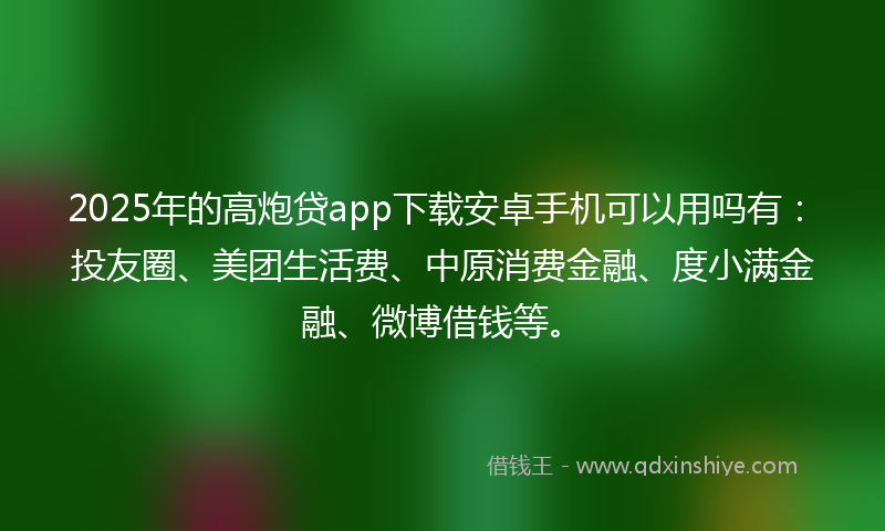 2025年的高炮贷app下载安卓手机可以用吗有：投友圈、美团生活费、中原消费金融、度小满金融、微博借钱等。