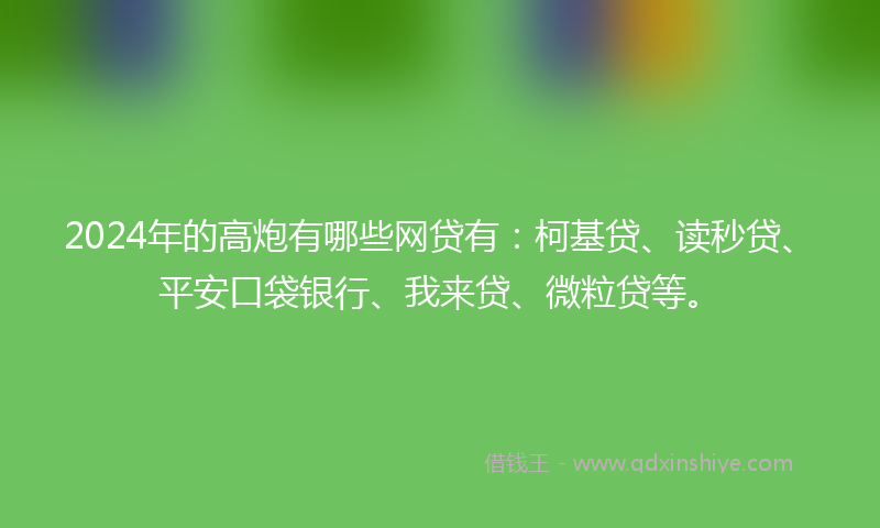 2024年的高炮有哪些网贷有：柯基贷、读秒贷、平安口袋银行、我来贷、微粒贷等。