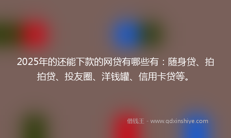 2025年的还能下款的网贷有哪些有：随身贷、拍拍贷、投友圈、洋钱罐、信用卡贷等。
