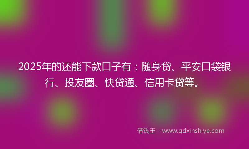 2025年的还能下款口子有：随身贷、平安口袋银行、投友圈、快贷通、信用卡贷等。