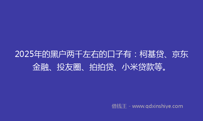 2025年的黑户两千左右的口子有：柯基贷、京东金融、投友圈、拍拍贷、小米贷款等。